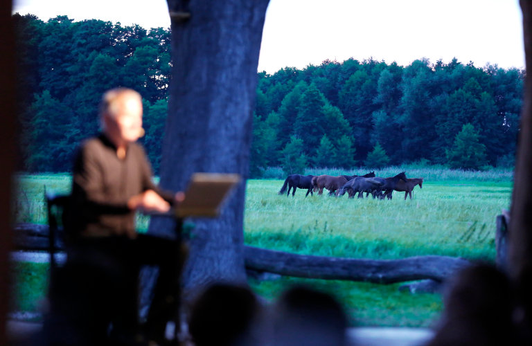 Thomas Rühmann im Theater am Rand, im Hintergrund grasen Pferde